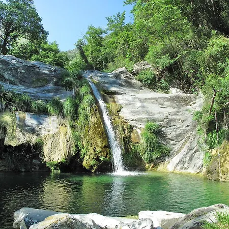 Geranio & Rosetta - Top132 By Interhome *