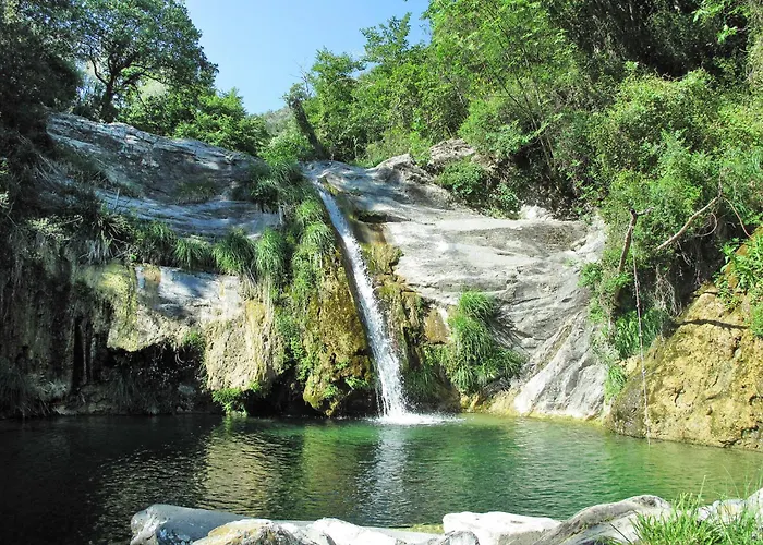 Geranio & Rosetta - Top132 By Interhome *